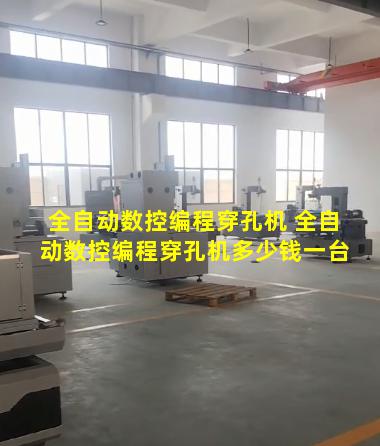 全自动数控编程穿孔机 全自动数控编程穿孔机多少钱一台